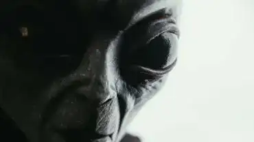 Obcy - Tak zwany "szarak"