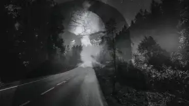 Nocna zjawa przy drodze