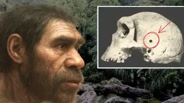 Prehistoryczna czaszka z Zambii