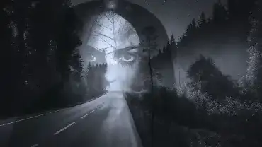 Nocna zjawa przy drodze