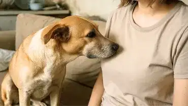 Czy psy mogą wykryć raka wcześniej niż lekarz?