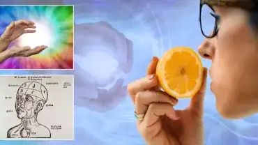 Zaginione zmysły człowieka