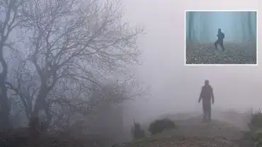 Zagubienia w polskich lasach zdarzają się częściej niż mogłoby się wydawać