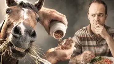 Suplementy dla koni - Czy są odpowiednie dla ludzi?