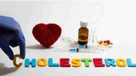 Czym jest cholesterol?