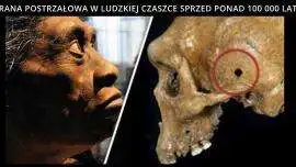 [Obrazek: czaszka-z-kabwe.webp]
