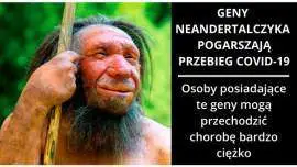 Geny Neandertalczyka pogarszają przebieg COVID-19