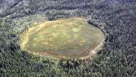 Martwy krąg w lesie Hoia Baciu, a nim zupełny brak roślinności