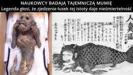 Japońska mumia syreny - Czy jest autentyczna?