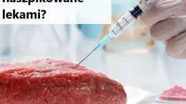 Polskie mięso nafaszerowane chemią! Pełno w nim antybiotyków!