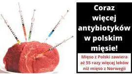 Antybiotyki w mięsie to poważne zagrożenie dla naszego zdrowia!
