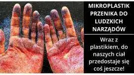 Mikroplastik w ludzkim ciele!