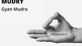 Mudry - Gyan Mudra