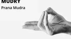 Mudry - Prana Mudra