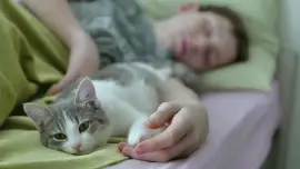 Spanie z kotem (3)