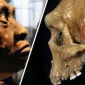 Prehistoryczna czaszka z raną postrzałową zadaną bronią palną
