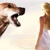 Co znaczy sen o psie?